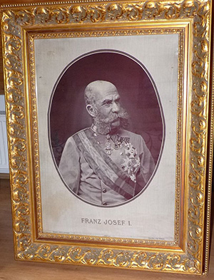 Obraz -  Františka Josefa I.